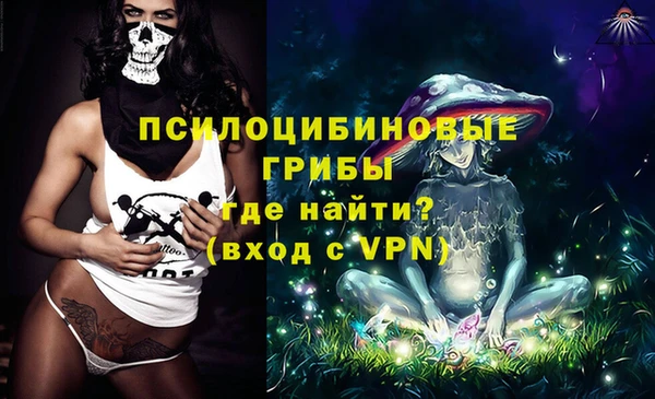 ешки Елизово