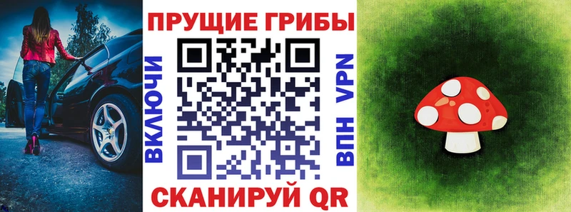 Псилоцибиновые грибы Cubensis  Купить закладки  Дудинка 